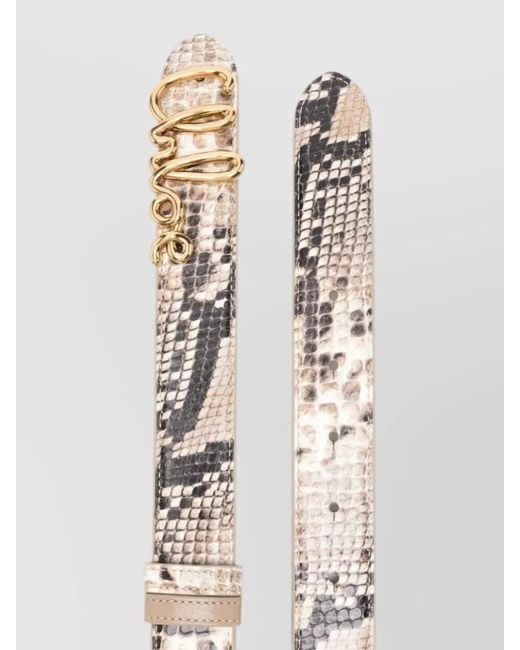 Chloé Metallic Iconic Belt Snake Print Adjustable Length