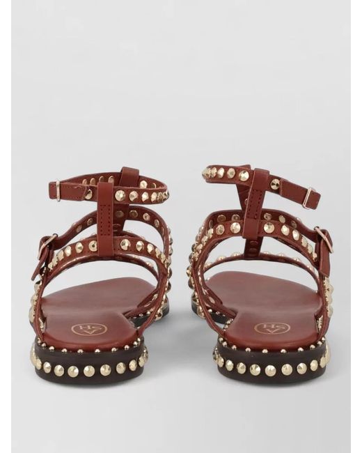 Ash Multicolor Gladiator Sandal Open Toe Ankle Strap