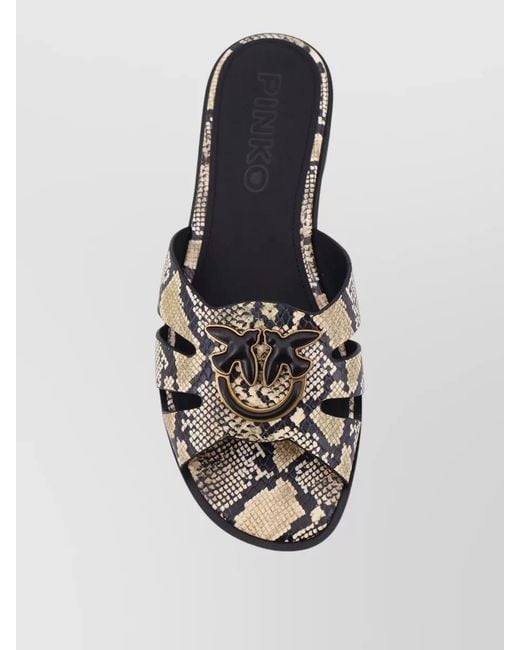 Pinko Multicolor Leather Low Sandals