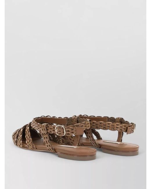Casadei Brown Pointed Toe Flat Woven Slingback Sandals