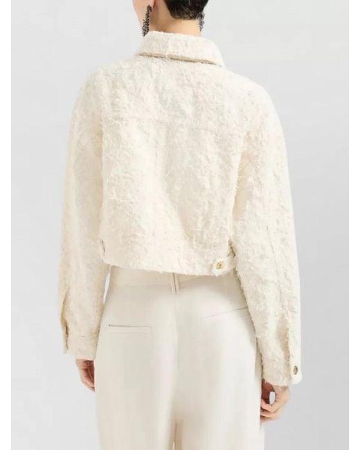 Brunello Cucinelli Natural Tailored Cropped Jacket Long Sleeves Collar