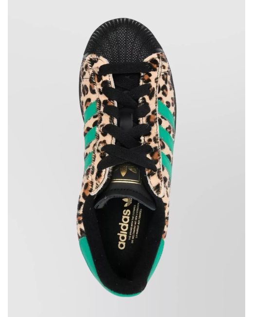 Adidas Multicolor Leather Low-Top Sneakers