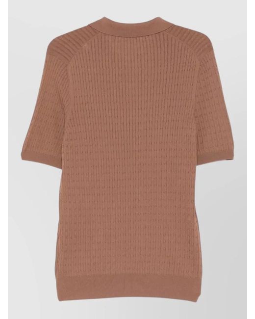 Tagliatore Brown Cable-Knit Polo Shirt for men