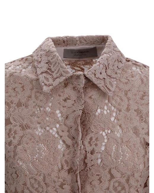 D.exterior Brown Lace Shirt Featuring Pointed Collar Design
