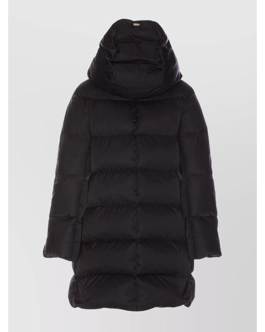 Herno Black Coats