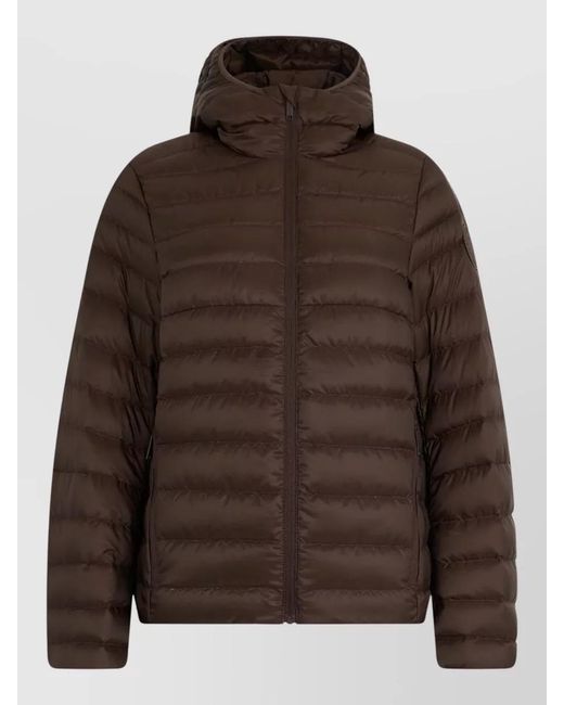 Canada Goose Brown Padded Jacket With Hood