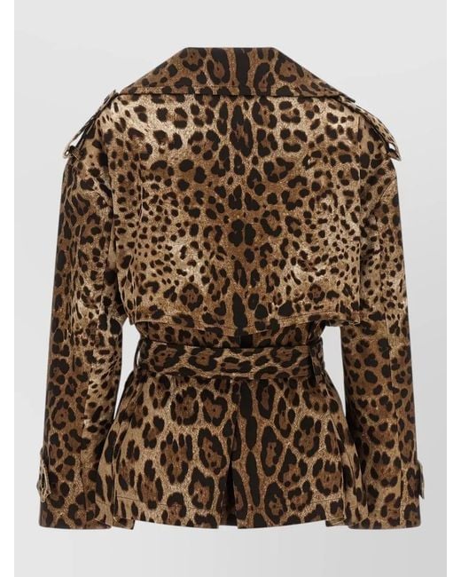 Dolce & Gabbana Brown Leopard Trench Coat Belted Waist Double Breasted