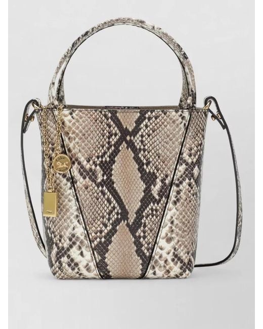 Chloé Gray Snake Bucket Bag Detachable Strap Handle