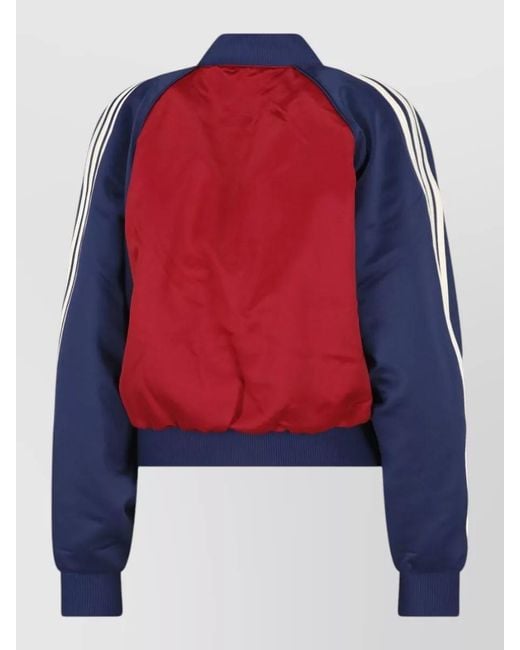 Adidas Blue Puffer Coat