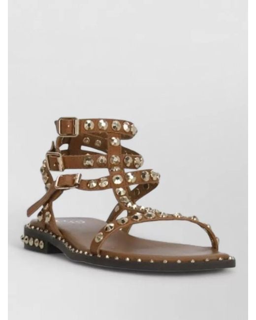 Ash Multicolor Flat Sandals Round Toe Ankle Straps