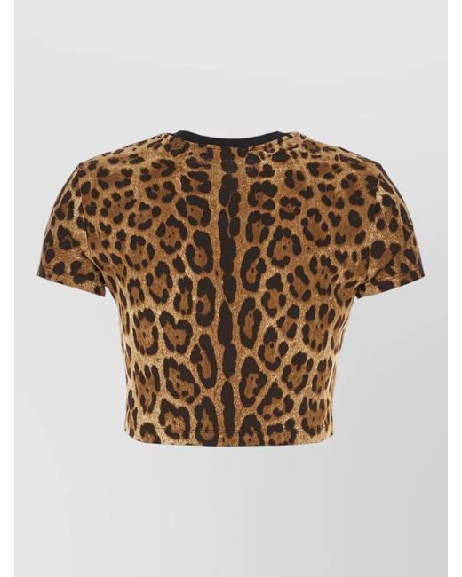 Dolce & Gabbana Brown Animal Print Crew Neck Cropped T Shirt