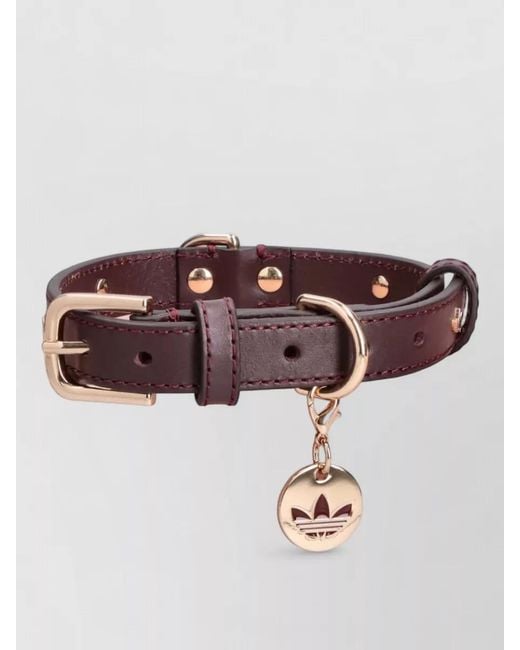 Adidas Brown Belt Accessories D Ring Charm Studs