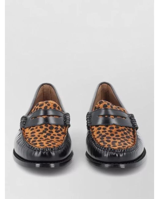 G.H.BASS Multicolor Oxford Shoes