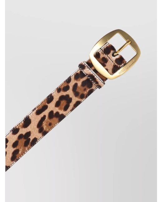 Dolce & Gabbana Brown Leather Belt
