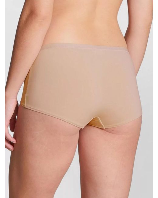 Calida Natural Seamless High Rise Underwear Elastic Waistband