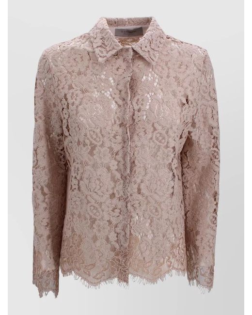 D.exterior Brown Lace Shirt Featuring Pointed Collar Design