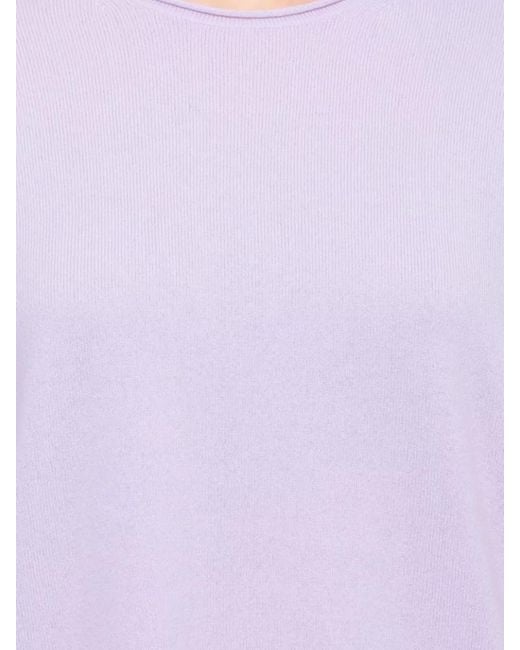 Guest In Residence Purple Guest
