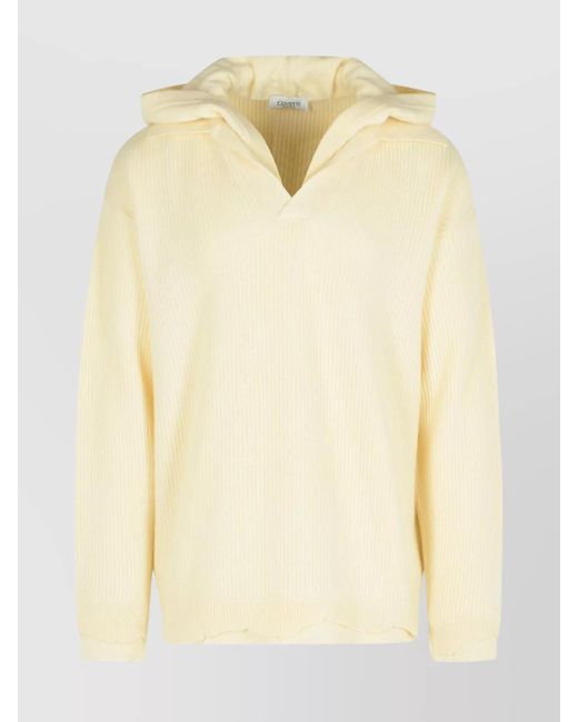 Laneus Natural Hooded V Neck Long Sleeve Knit Sweater for men