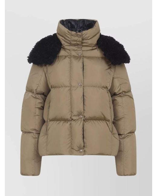 Moncler Brown Puffer High Collar Zippered Contrast Shoulder
