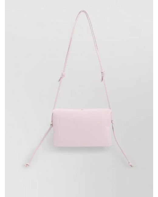 Céline Pink Trio Crossbody Bag Hardware Lambskin