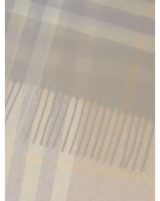 Burberry Gray Cashmere Scarf With Embroidered Fringed Edges