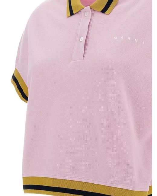 Marni Pink Cotton Striped Polo Shirt