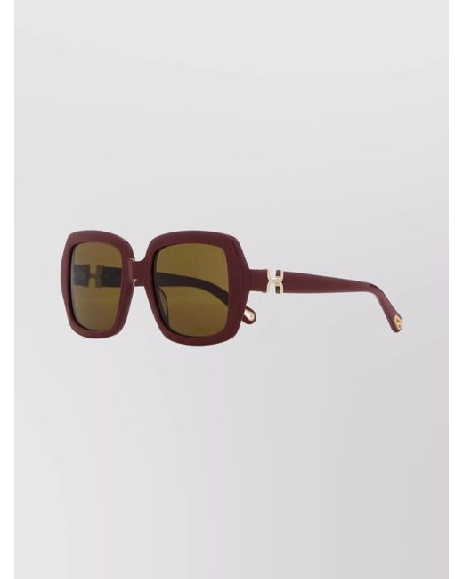 Chloé Brown Acetate Sunglasses