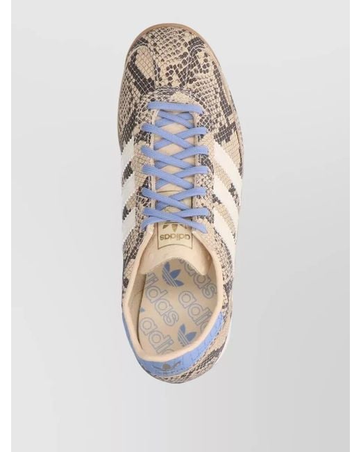 Adidas Multicolor Leather Low-Top Sneakers