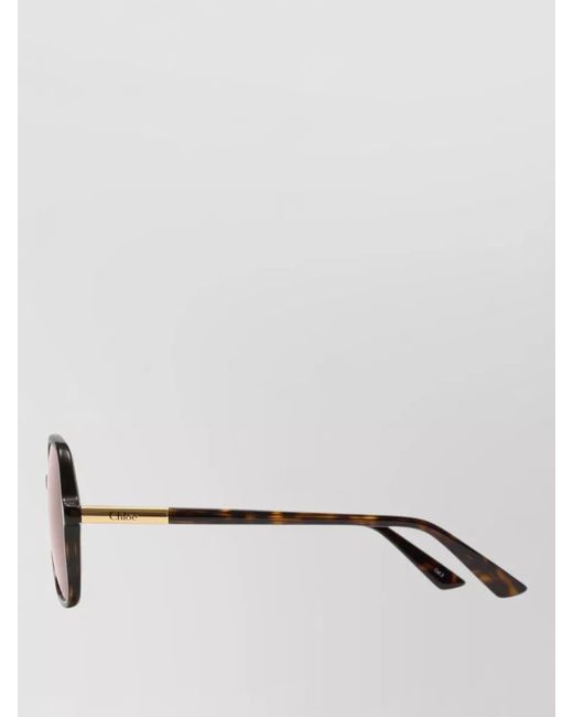 Chloé Brown Ch0364S Sunglasses Acetate Square Frame