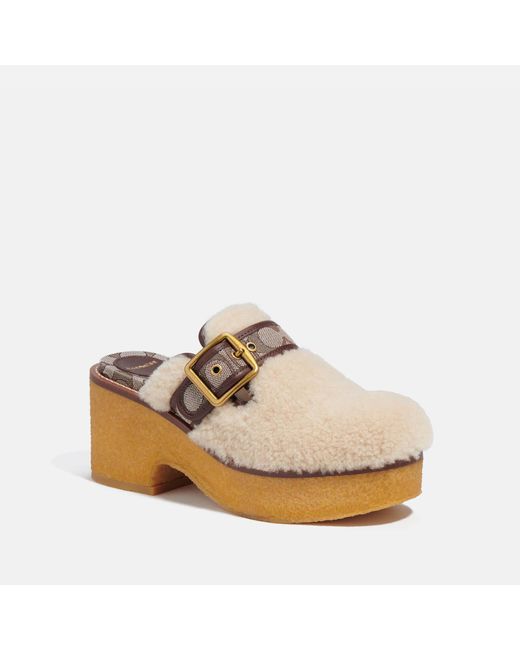 COACH Natural Dylan Shearling, Jacquard And Leather Clogs