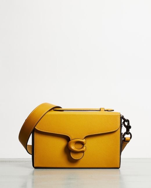 COACH Multicolor Glovetanned Leather Tabby Box Bag