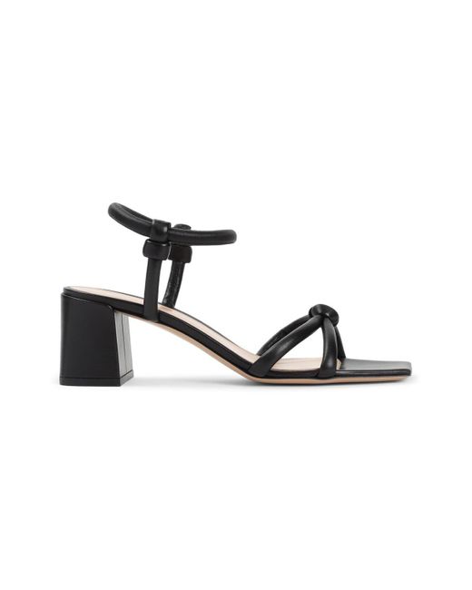 Gianvito Rossi Black Square Toe Sandals