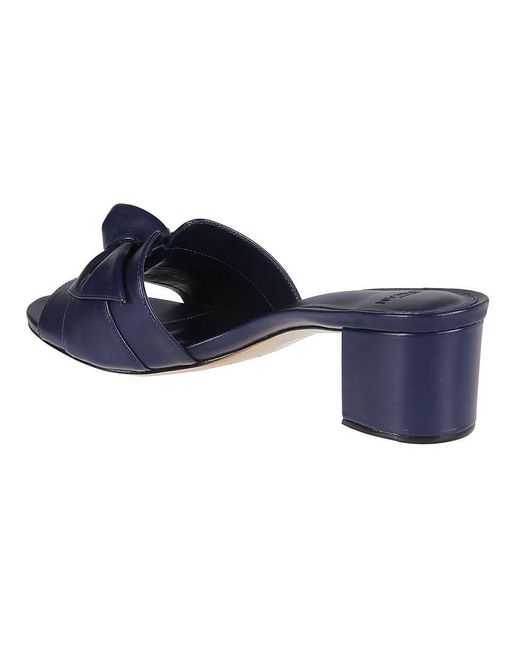 Alexandre Birman Blue Mules