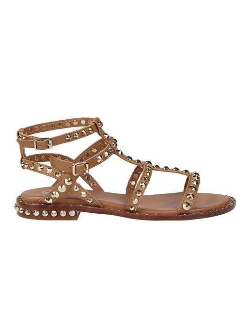 Ash Brown Sandals