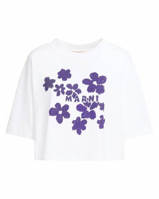 Marni Blue T-Shirts And Polos