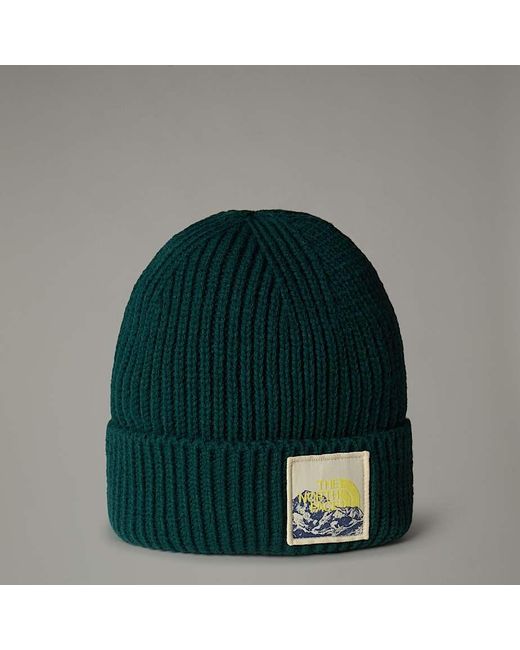 The North Face Green Tnf Logo Box Cuffed Beanie for men