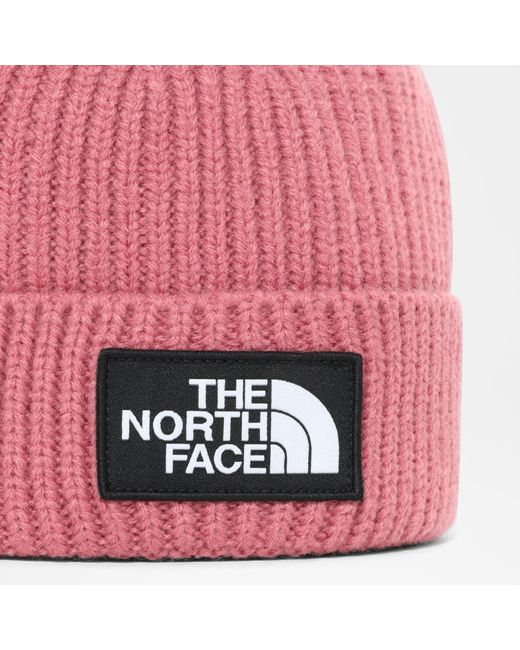 Tnf Logo Box Cuffed Beanie Mesa Rose 