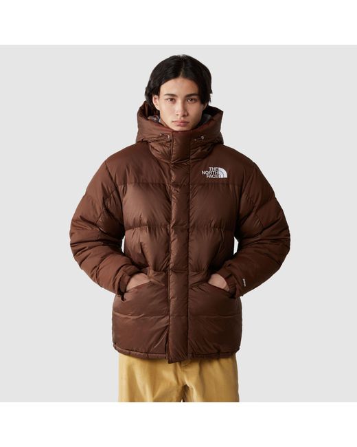 The North Face Himalayan Down Parka Coat In Brown