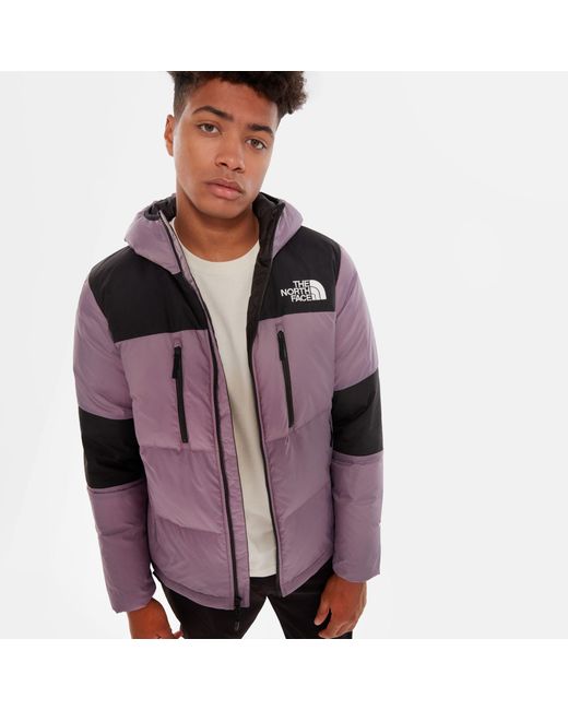 the north face himalayan light bomber