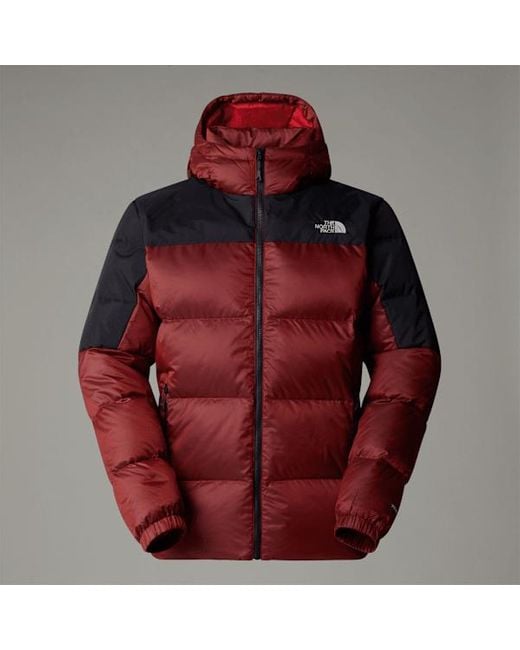 The North Face Red Diablo Down 2.0 Hooded Jacket for men