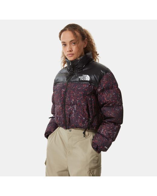 north face nuptse multicolor