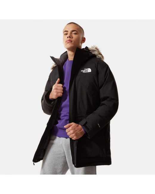 the north face new peak parka