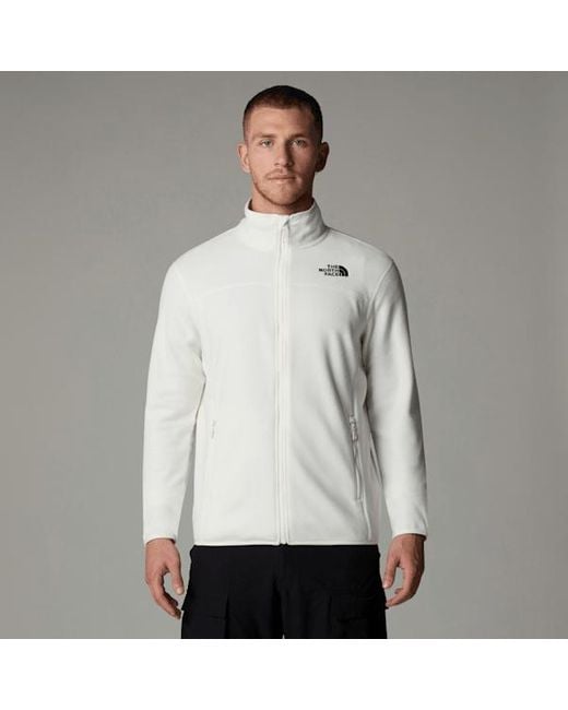 The North Face Gray 100 Glacier Full-Zip Fleece Dune for men