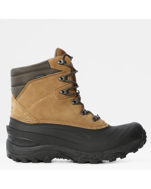 Timberland Waterdichte Laarzen Kopen - Premium Warm Heren Donkerbruin