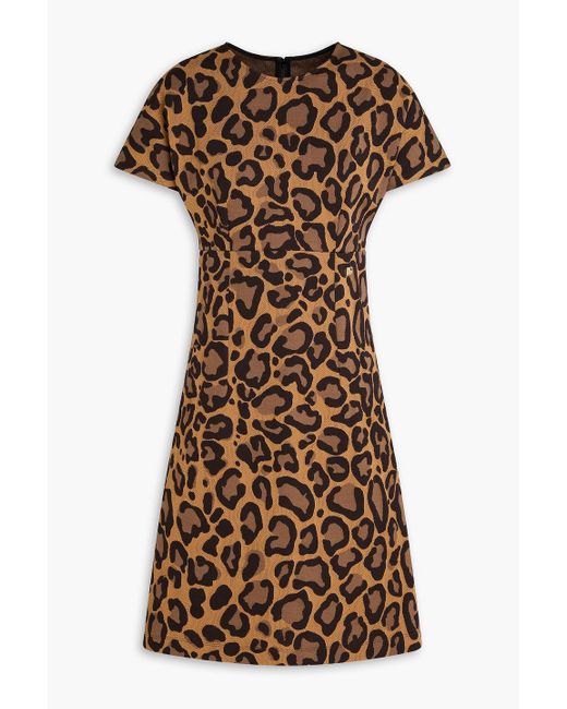 Dolce & Gabbana Brown Leopard-jacquard Dress