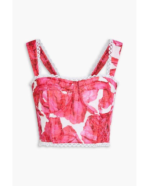 Charo Ruiz Pink Liv Crochet-Trimmed Printed Cotton-Blend Bustier Top