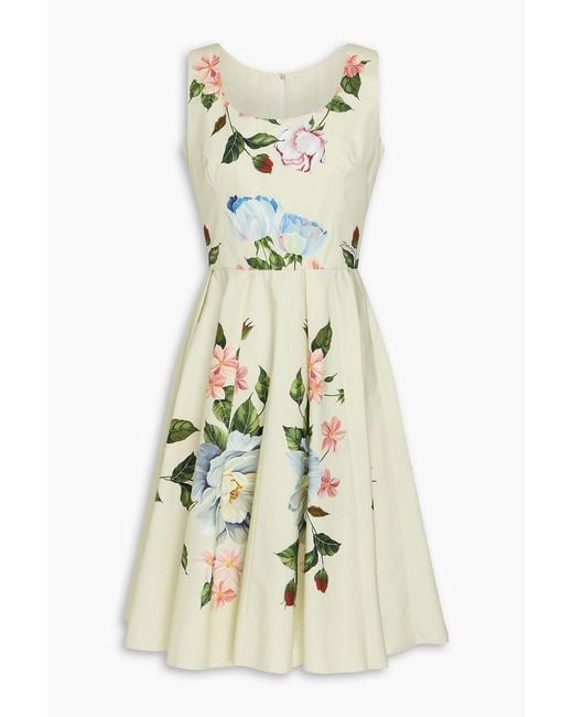 Dolce & Gabbana White Pleated Floral-print Cotton-poplin Dress