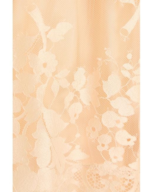Zimmermann Natural Pussy-bow Cotton-blend Corded Lace Blouse