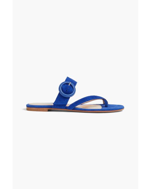 Gianvito Rossi Blue Buckled Suede Sandals