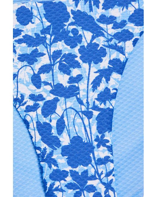 Heidi Klein Blue Tuscany Floral-print Stretch-piqué Low-rise Bikini Briefs